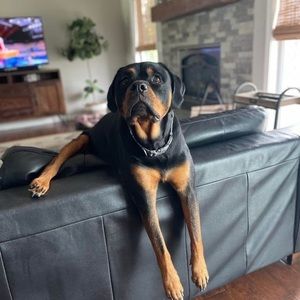 Meet your Posher, Ethan